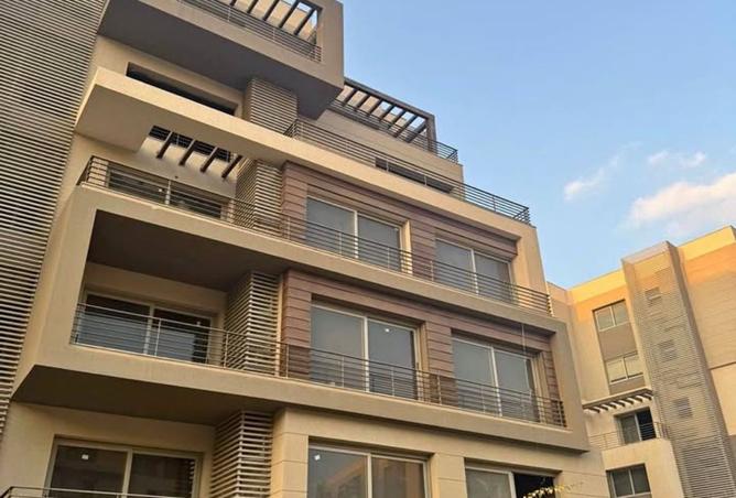 8298413 - Property Image 3