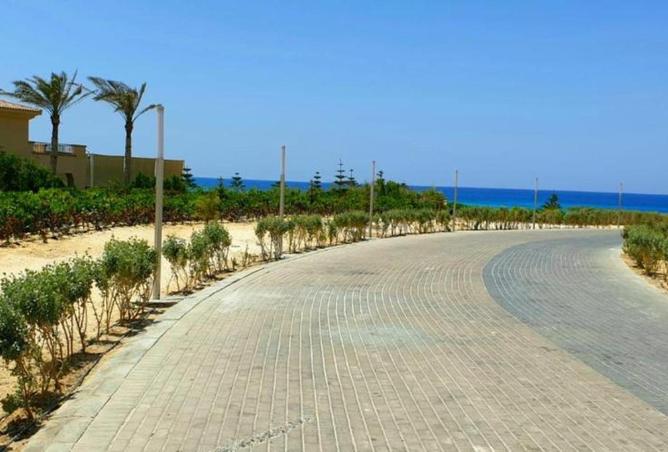 76242049 - صورة العقار 2