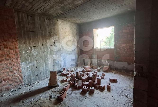 55498125 - Property Image 3