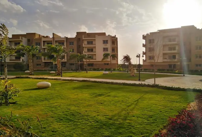 113261683 - صورة العقار 3