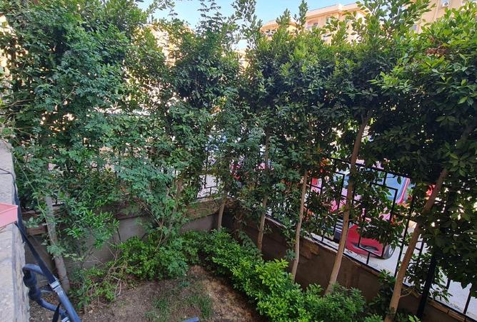 55498114 - صورة العقار 3