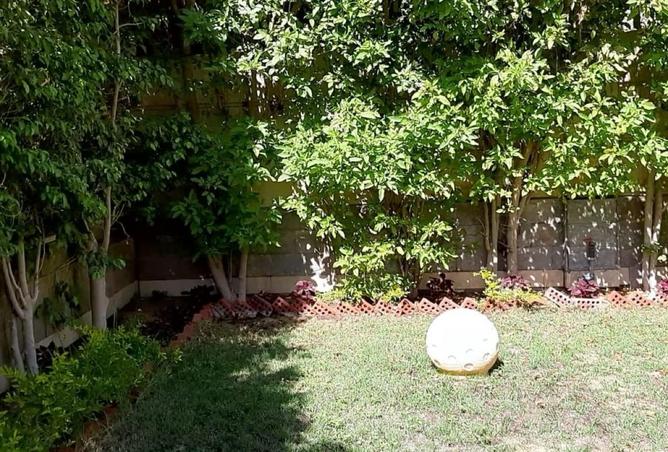 53983722 - صورة العقار 2