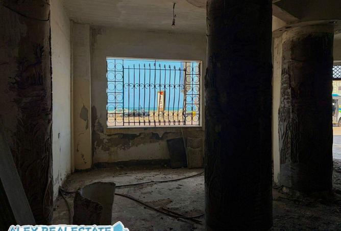 67998103 - صورة العقار 3