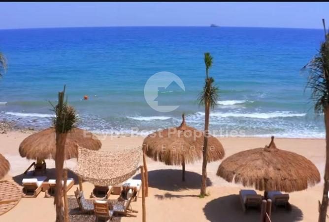 83681575 - صورة العقار 3