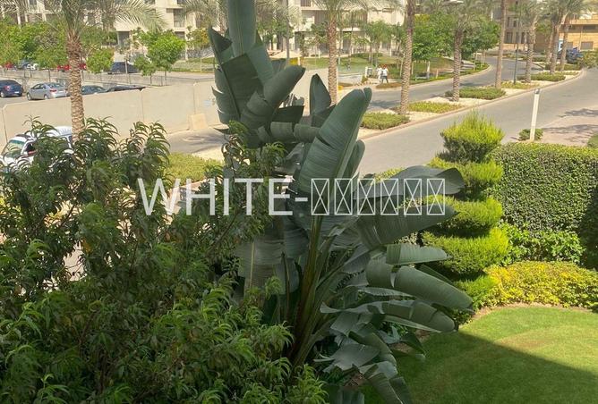75398927 - صورة العقار 3