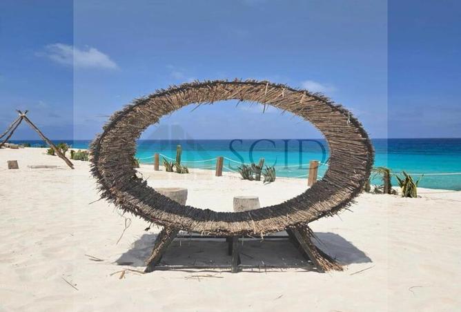 55246503 - Property Image 3