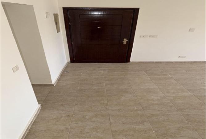 8441495 - Property Image 3