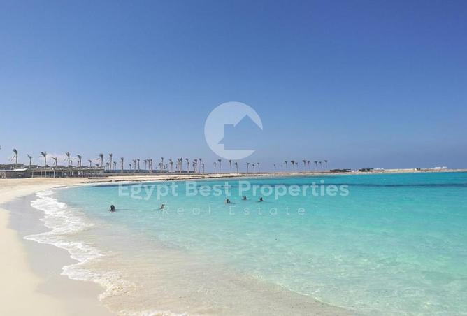 97720314 - صورة العقار 3