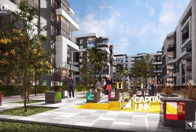 53478449 - Property Image 3