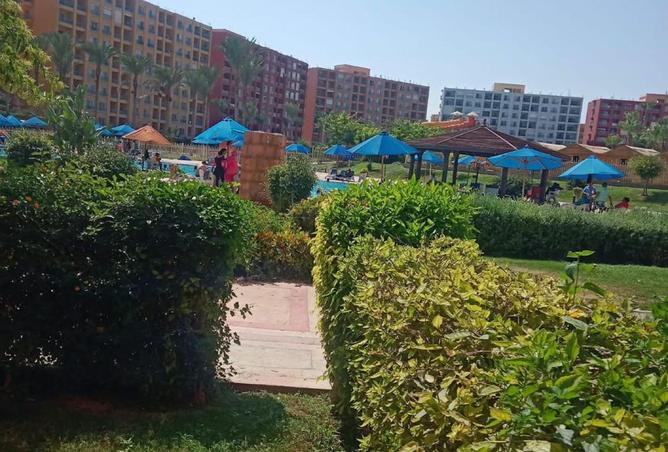105453405 - صورة العقار 3