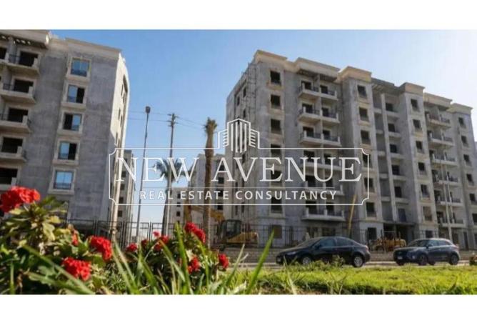 68787915 - صورة العقار 3