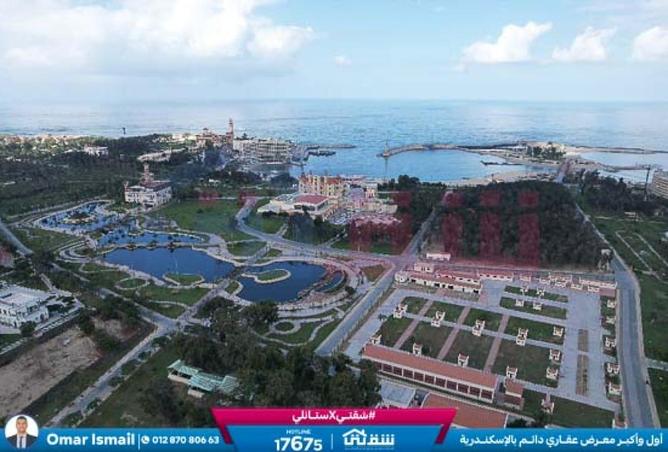 8551873 - Property Image 3