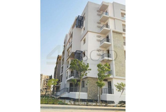 98012655 - Property Image 3