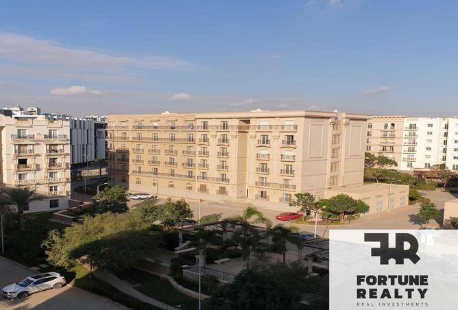 56251246 - Property Main Image