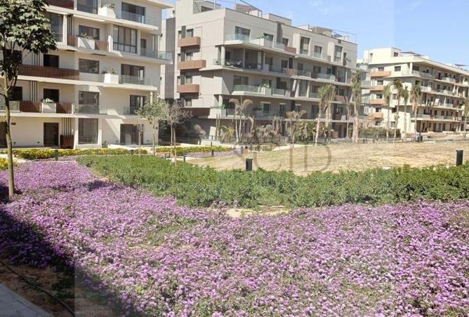 91279221 - الصورة الرئيسية للعقار