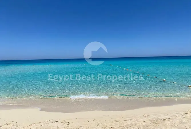 111037386 - صورة العقار 3