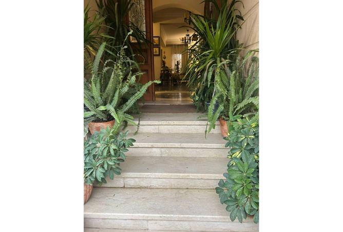 62646571 - Property Image 3