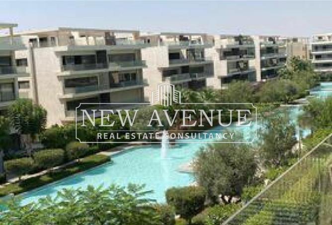 61203484 - صورة العقار 3