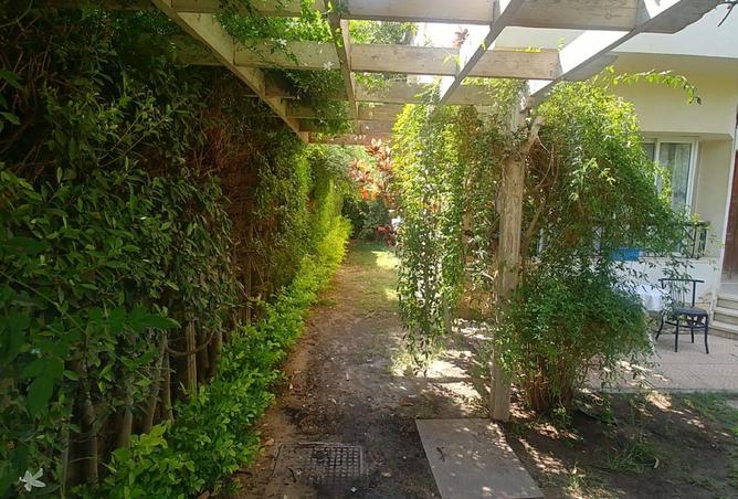 70877861 - صورة العقار 2