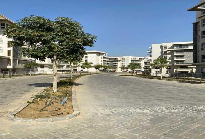 67998175 - Property Image 3