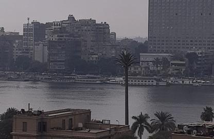 Apartment - 2 Bedrooms - 2 Bathrooms for rent in Al Manial St. - El Manial - Hay El Manial - Cairo