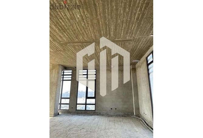 8482538 - Property Image 3