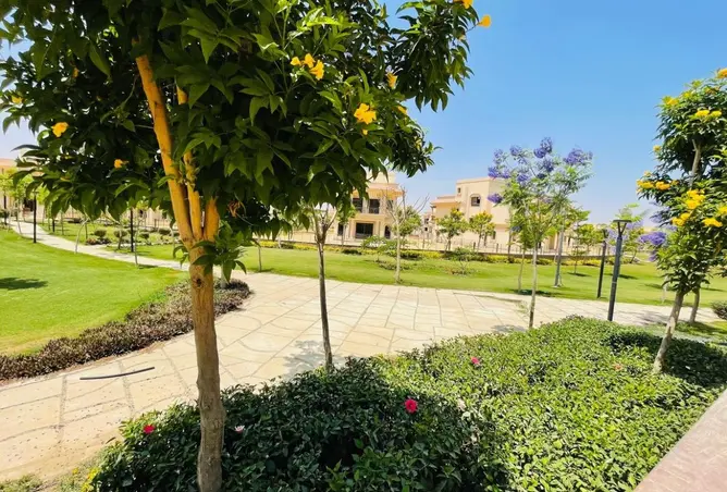 115711891 - صورة العقار 2