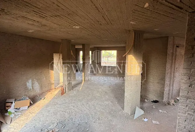 113256148 - صورة العقار 3