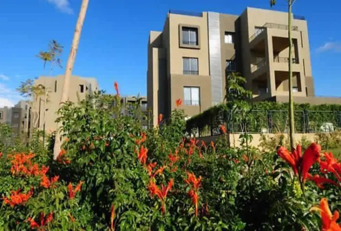 110747162 - Property Image 3