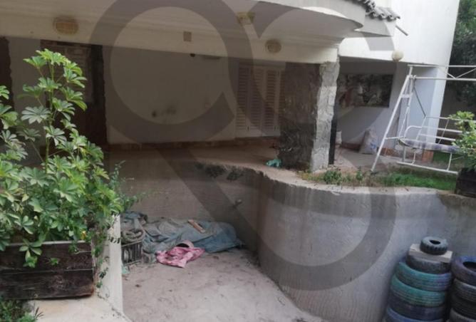 8596594 - صورة العقار 2