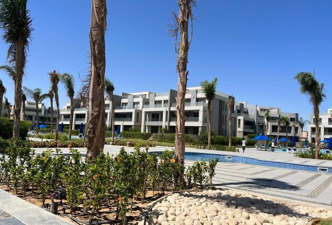 66175285 - صورة العقار 3