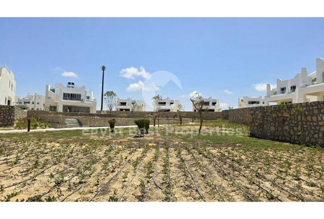 65164951 - صورة العقار 3