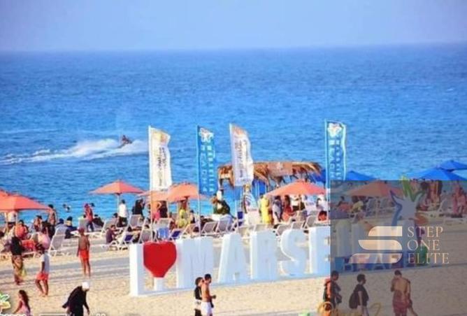 81308912 - صورة العقار 3