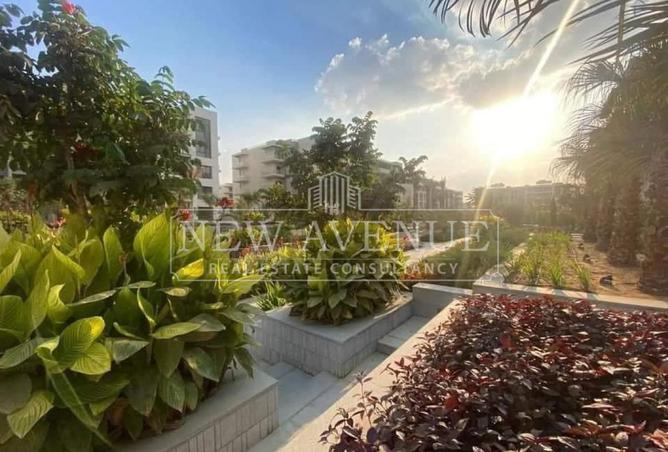 98553776 - صورة العقار 3