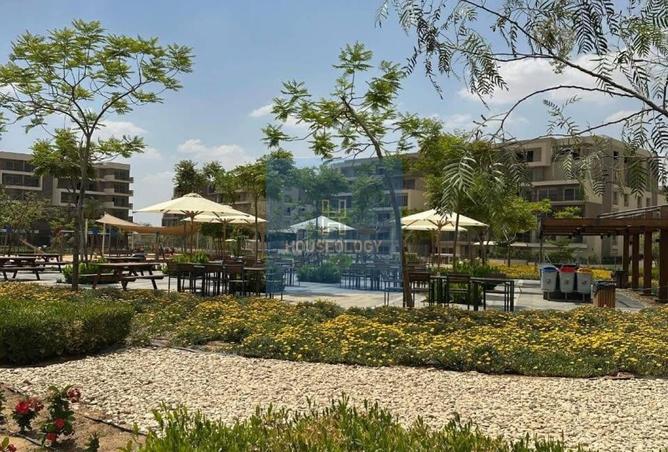 67477932 - صورة العقار 3