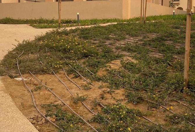 65163842 - Property Main Image