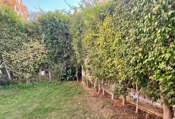 64907558 - Property Image 3