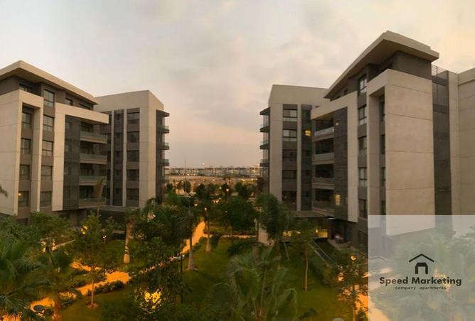 53733839 - صورة العقار 2