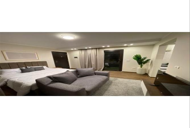 66172546 - صورة العقار 3