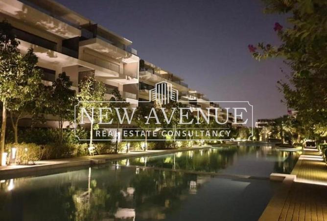 8648630 - Property Image 3