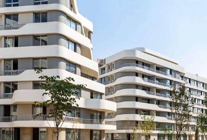 58498647 - صورة العقار 3