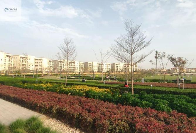 74037958 - الصورة الرئيسية للعقار