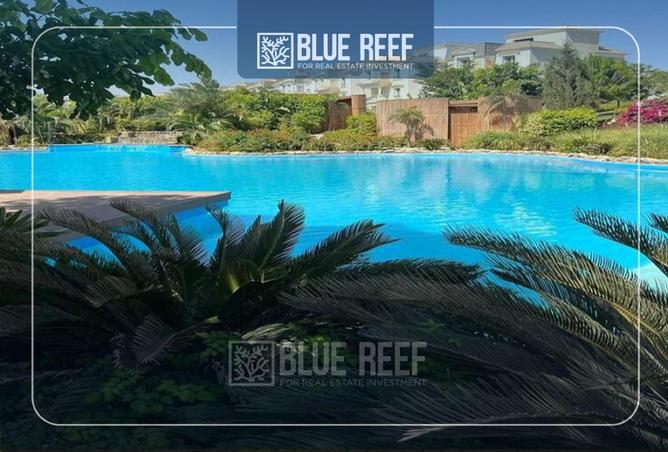 68792137 - Property Image 3