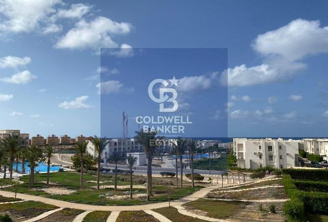 96860974 - Property Image 3