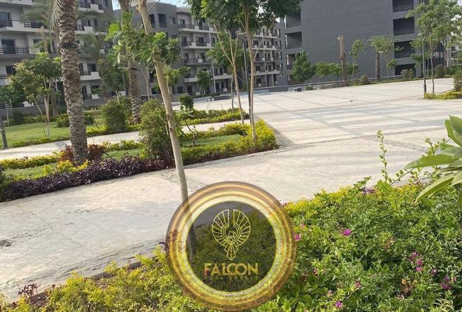 57502942 - صورة العقار 3