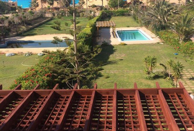 55745757 - صورة العقار 3