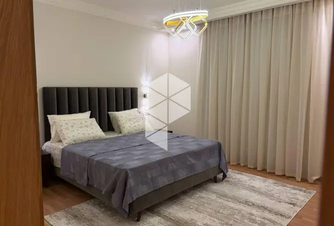 116756642 - Property Image 2
