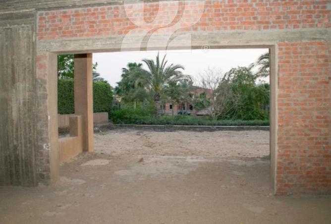 63634867 - Property Image 3