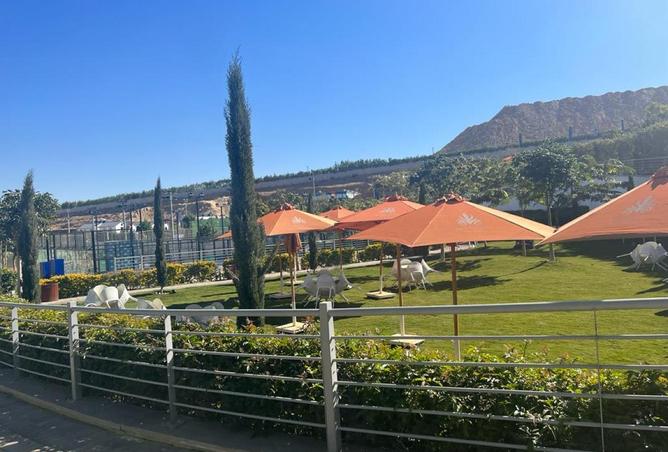 63146259 - صورة العقار 3