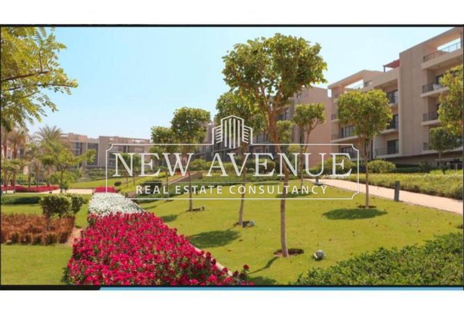 69579519 - صورة العقار 2